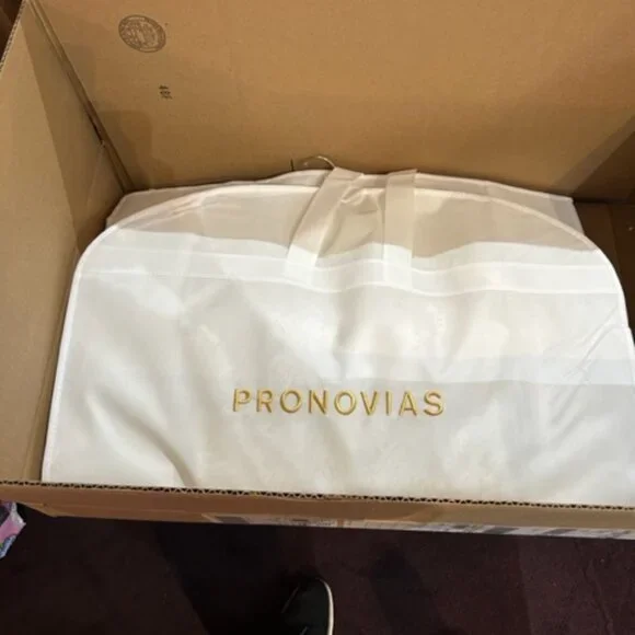 PRONOVIAS LANSBURY DRESS - Picture 15 of 15